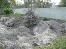 A huge hole where our tree was