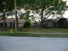 Ugh - our poor yard!