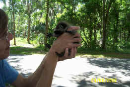 Meeting one of his new caregivers