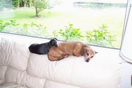 Aydee and Mitzy