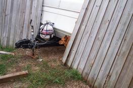 Boudreaux tried desperately to get past our temporary barricade.  By the way, he's actually STUCK there!