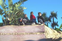The three amigos