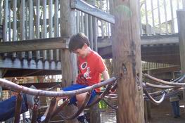 Trying not to get caught in the web!