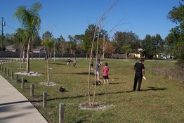 Playing baseball across the street