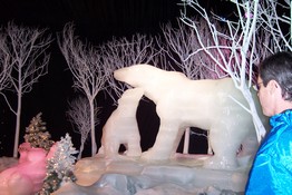 The polar bear exhibit was almost cuddly!