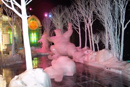 Frolicking polar bears