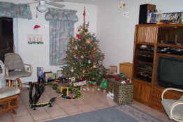 Santa came!