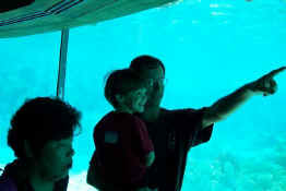 Daddy pointing out the dolphins to Patch