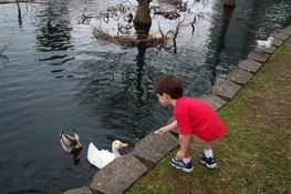 This duck ate straight out of his hand!
