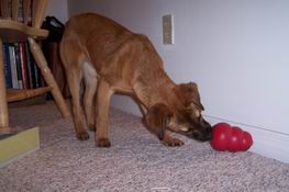Checkin' out Boo's toy