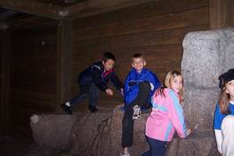 Hangin' out in the arctic exhibit