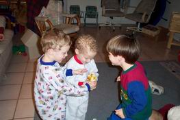 Community pear (Carter, Nathan and Patch)