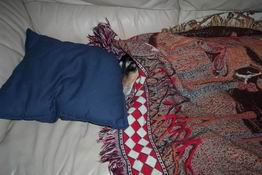 She's just such a fragile thing in this cold.  ;-)