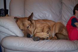 Recuperating at home
