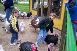 Carter and Alex petting the turkeys