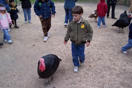 Patch petting a turkey