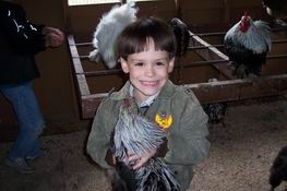 Patch caught a chicken!