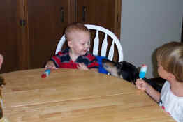 Andrew and Trouble are in love!