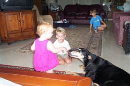 Look at the huge doggie!