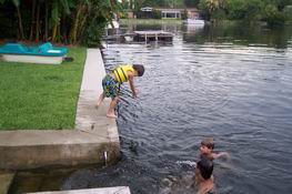 Patch is starting to learn how to dive (emphasis on starting!)