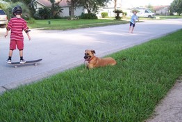 Grendel ran around so much she lost tongue control.  LOL