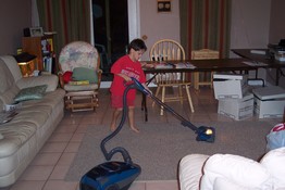 Patch helped vacuum up any remaining fiberglass from the floor