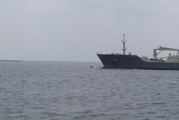 that black dot in front of the ship is a dolphin playing
