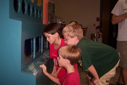 Looking at baby stingrays