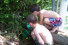 Catching minnows