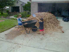 Alex and Patrick shoveling mulch