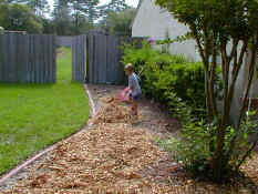 Alex spreading mulch - what a helper!