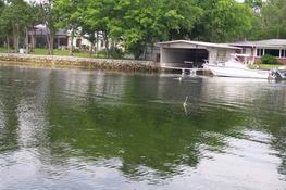 Mother and baby manatee just off Nana and Papa's dock.  That yellow thing behind them is the transmitter on the mother.