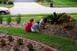 Alex, Carter and Patch picking out the very best acorns to throw into the street