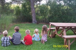 The kids were all watching a rabbit at the base of the tree