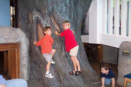 Climbing the story tree