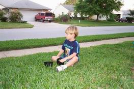 Picking grass to cushion his egg