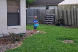 The master egg finder hard at work