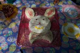 Karon's adorable rabbit cake