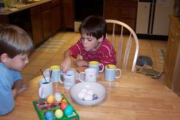 Inspecting his egg