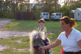 That horse is having one bad hair day!