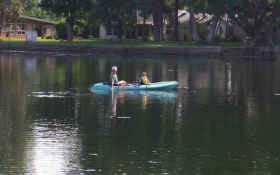 There were several manatees right off the back yard.  One kept coming back to be petted!