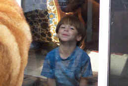 Every kid has to have the "face squished against the glass" picture