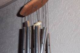 There are three of these frogs living in Greg and Karon's wind chime.  Ain't he cute!