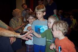 petting a millipede!