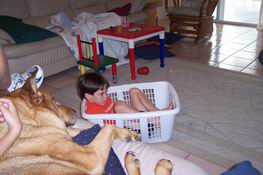 A 5-year-old's easy chair