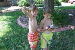 Alex and Justin were looking up what kind of lizard they had caught