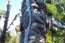 The man working the climbing wall called them The Parker Brothers (as in Spiderman)