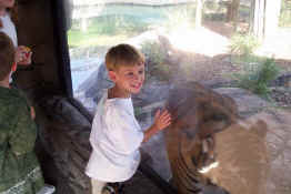 This was one of his favorite things at the zoo