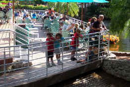 Patch, Lexie and Alex watching the fish