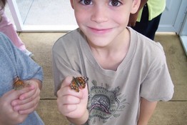 OK, the butterfly is pretty, but I could just get lost in those eyes of his!